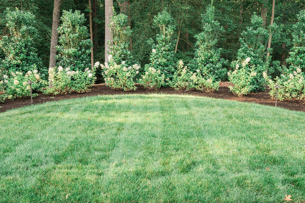 A neatly manicured garden with a lush green lawn and a backdrop of flowering shrubs and tall trees, offering a tranquil outdoor setting at Hidden Oaks venue.