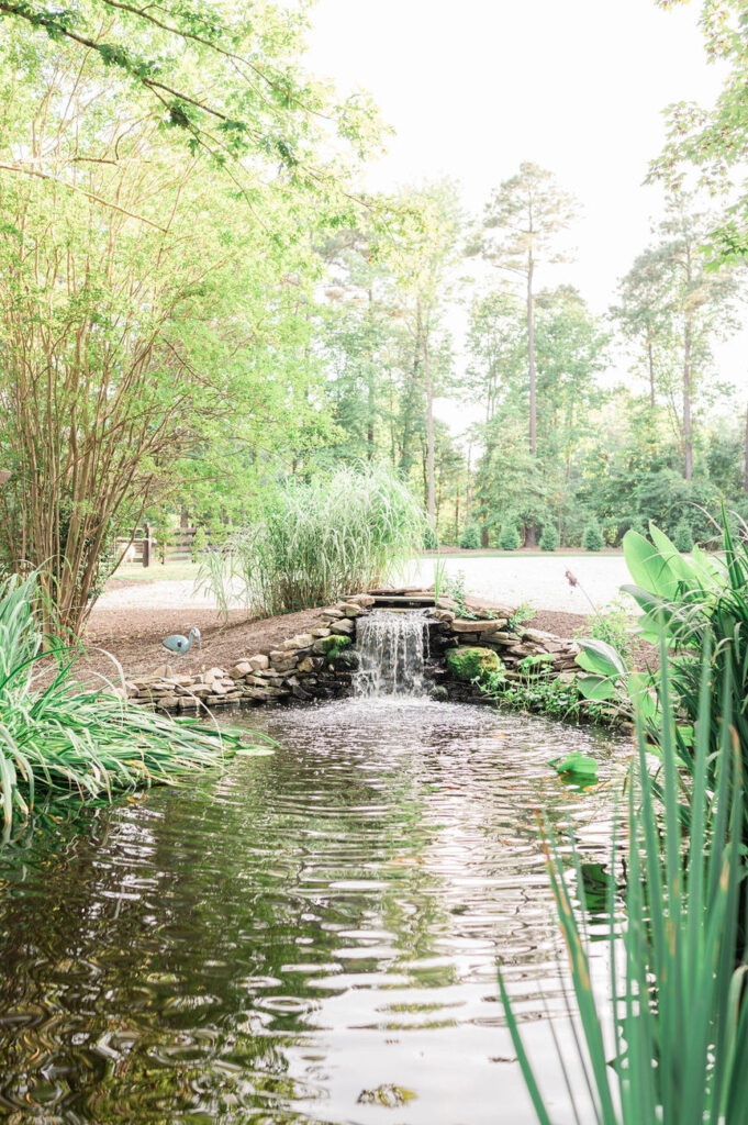 A gentle waterfall cascading into a pond surrounded by dense foliage, tall reeds, and a variety of water plants, contributing to the serene and natural landscape of the Hidden Oaks venue.