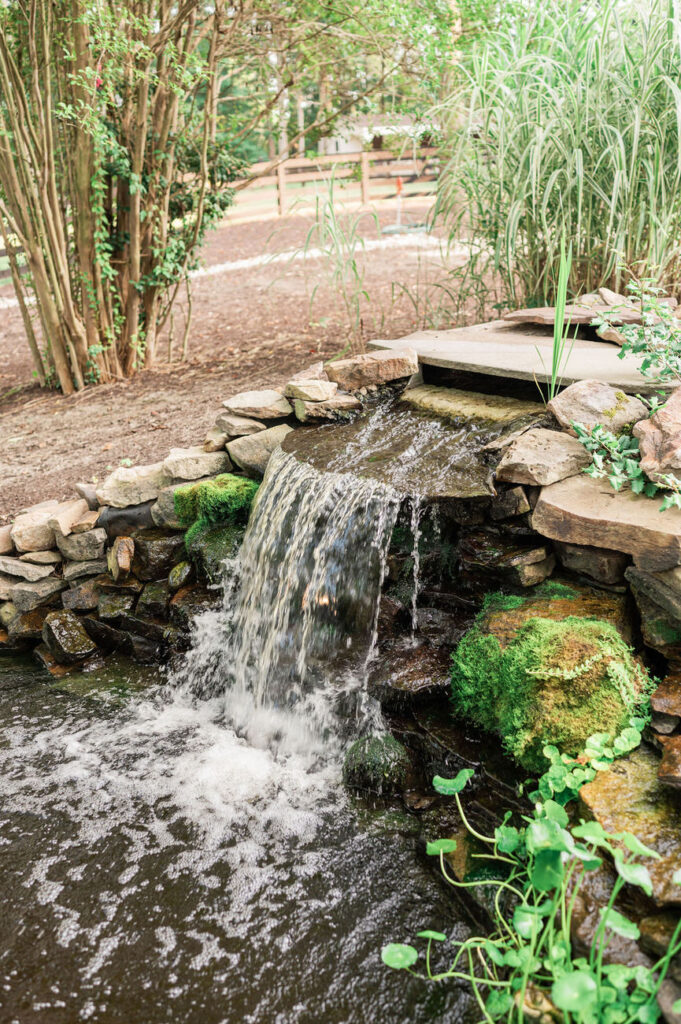 A small, naturalistic waterfall flowing over rocks into a pond, surrounded by various plants and greenery, creating a soothing atmosphere within the grounds of Hidden Oaks venue.